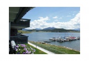Tenderfoot in Dillon