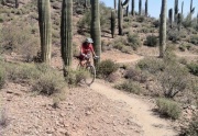 Lisa Bova mountain biking