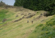 Mountain biking meadow