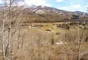 Silverthorne