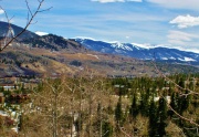 Silverthorne