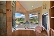 Silverthorne