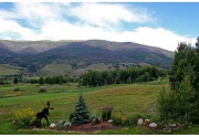 Silverthorne View