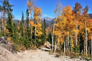 Hiking to Peak One from Frisco is a strenuous yet rewarding day excursion with fantastic views of Lake Dillon, surrounding mountains and abandoned mining...