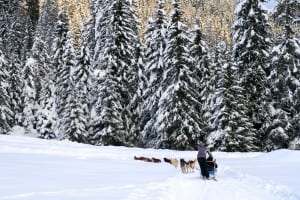 10 Winter Activity Ideas