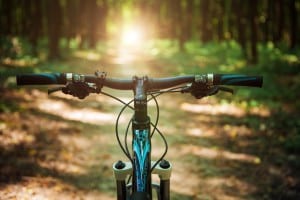 Peaks Trail Bypass to protect Cucumber Gulch