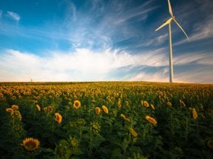 Renewable enery