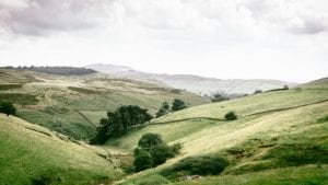 Private Landowners