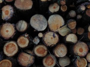 Summit County's Chipping Program